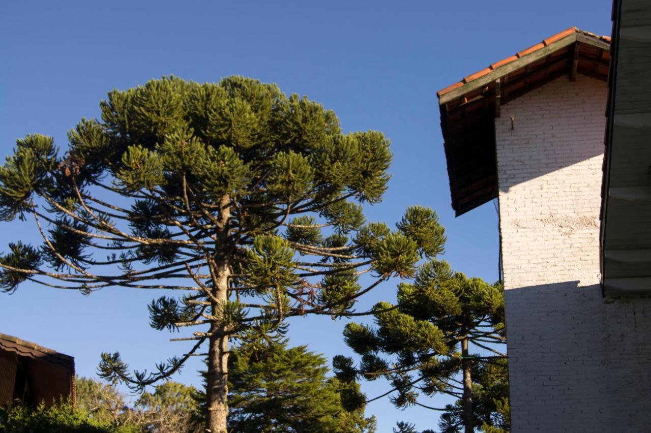 Pousada Locanda Belvedere Monte Verde  Εξωτερικό φωτογραφία