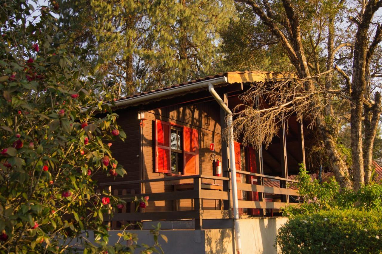 Pousada Locanda Belvedere Monte Verde  Εξωτερικό φωτογραφία